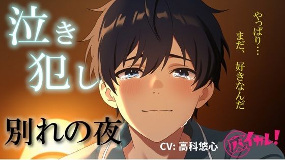 泣き犯し〜 同棲解除日記 ― 最後の夜、僕たちは涙を流しながら身体を重ねた 〜 ASMR/バイノーラル/泣きエッチ/カップル/日常/別れ/感動/あまあま/中出し