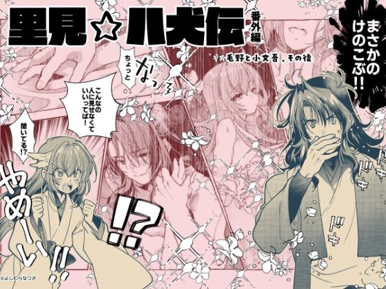 【里見☆八犬伝 番外編 〜毛野と小文吾、その後 〜】まんが16P